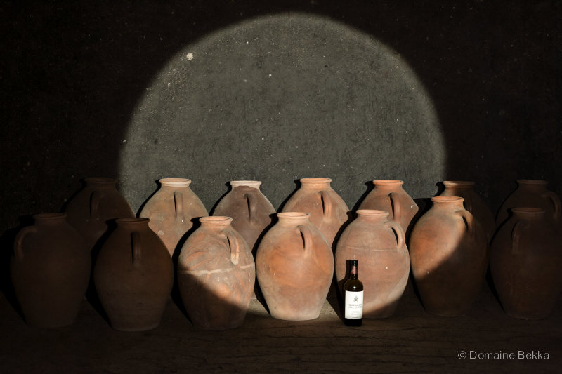 Jarres de terre dans la pénombre d’un cellier, bouteille sombre