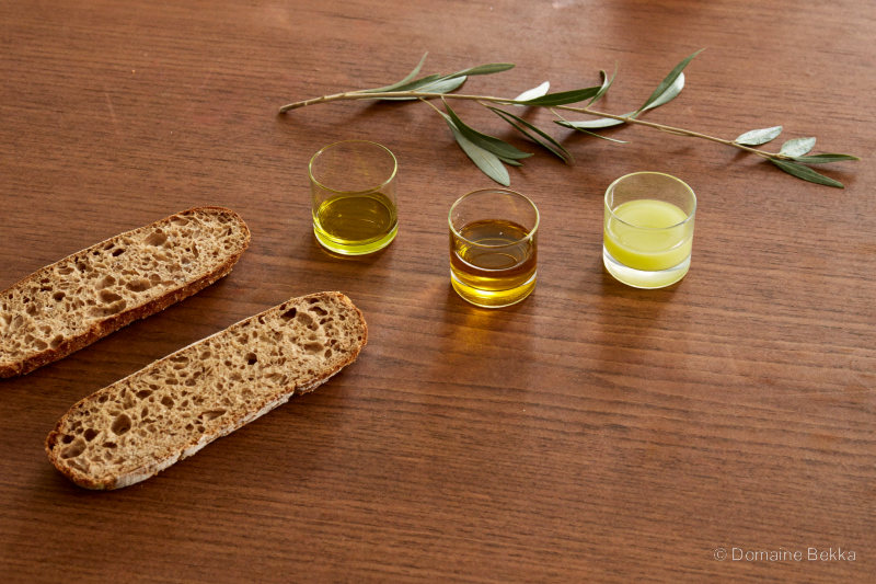 Dégustation : trois verres d’huile, pain de semoule et rameau d’olivier