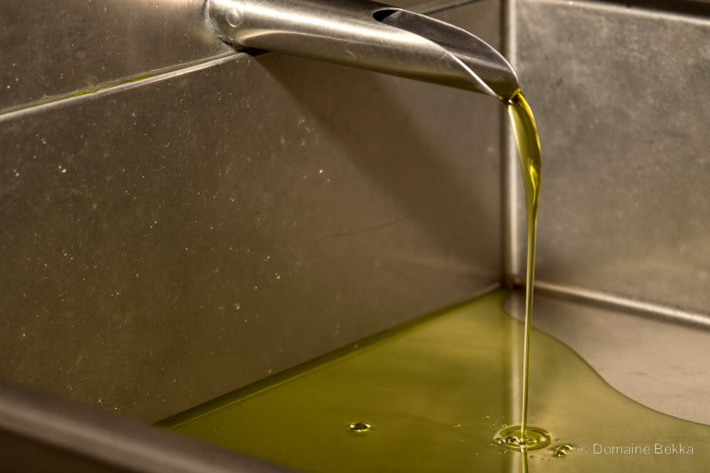Huile d’olive nouvelle coulant du bec inox au moulin