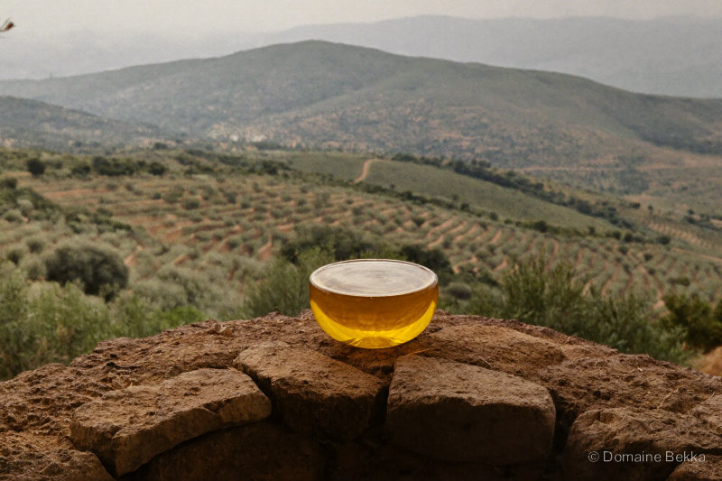 Bol d’huile d’olive dorée sur un muret, oliveraies de Kabylie en fond