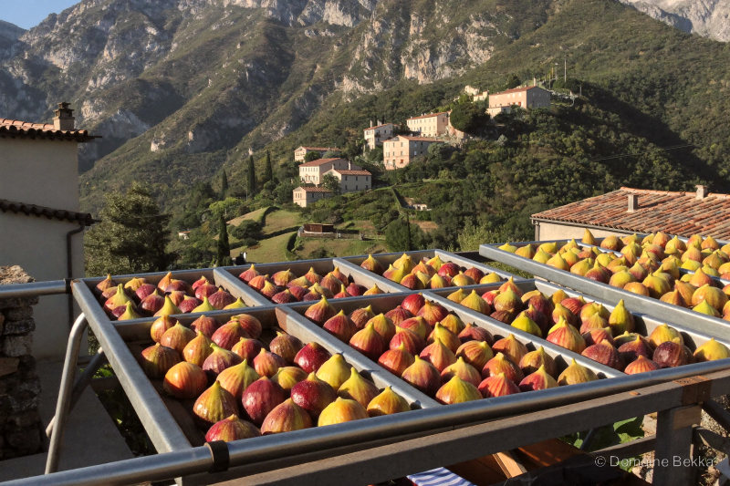 Figues séchant au soleil sur des claies, village de montagne