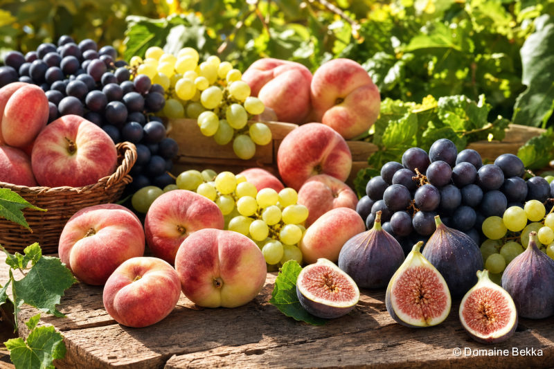 Fruits d’été : pêches plates, raisin de table et figues fraîches sur bois