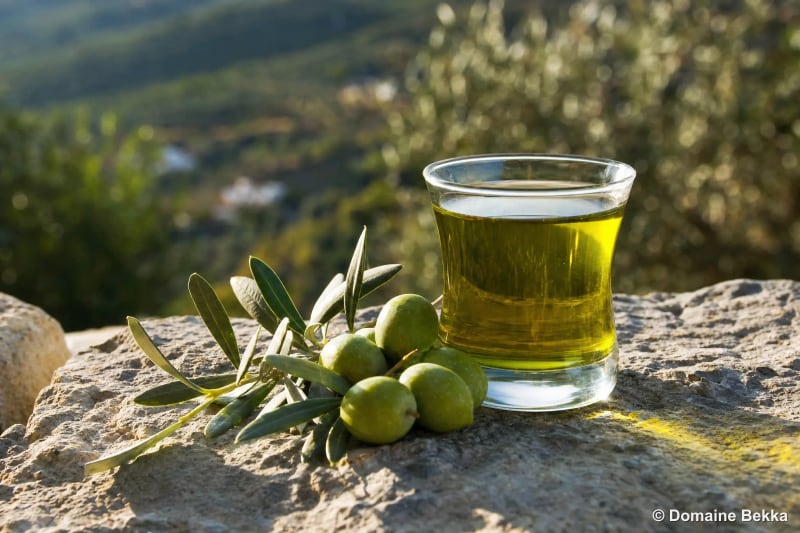 Dégustation d’huile d’olive vierge extra dans un petit verre, olives et rameau d’olivier