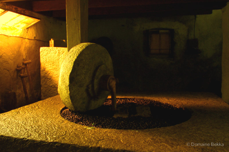 La meule de pierre du moulin écrasant les olives noires