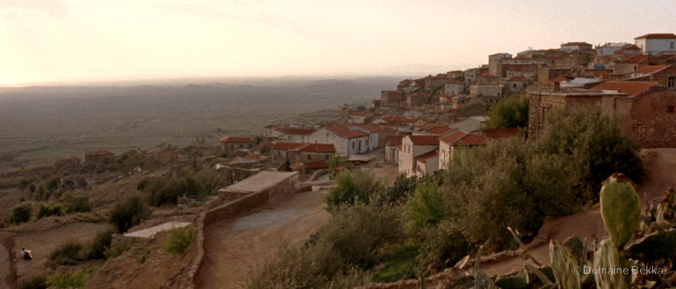 Village kabyle aux toits de tuiles sur la crête, entre oliviers et figuiers de Barbarie