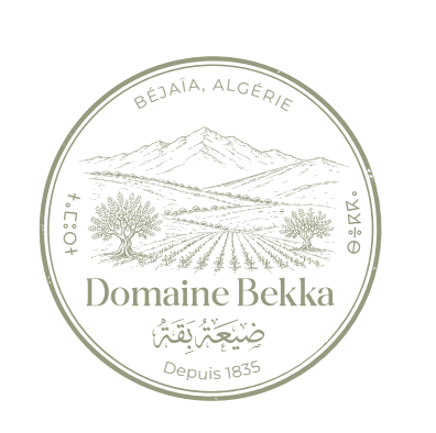 Domain Bekka